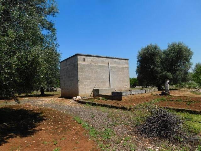 Terreno in vendita a Puglia, Brindisi