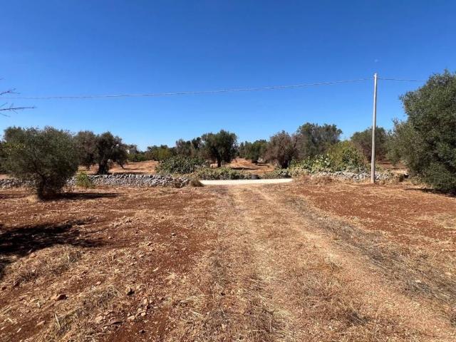 Terreno in vendita a Ceglie Messapica, Brindisi