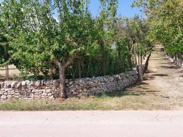 Terreno in vendita a Ceglie Messapica