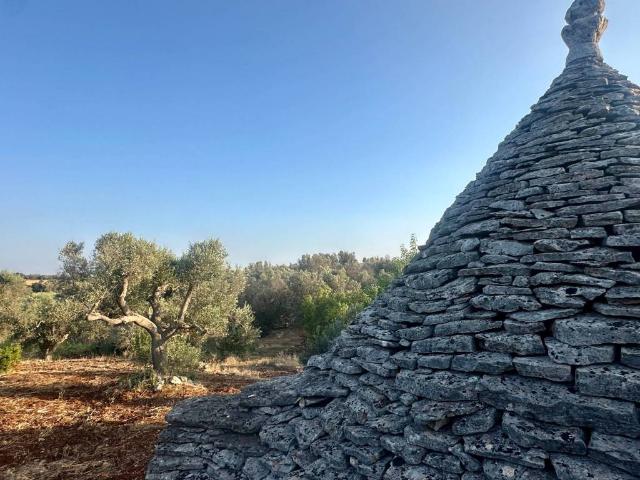 Terreno in vendita a Ceglie Messapica