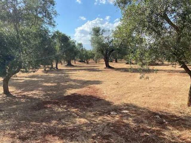 Terreno in vendita a Puglia, Brindisi