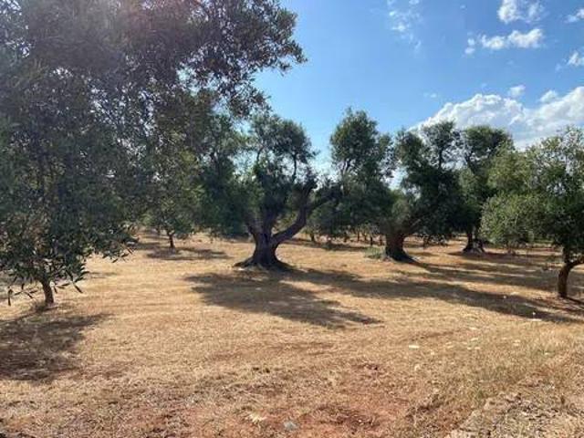 Terreno in vendita a Puglia, Brindisi