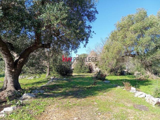 Terreno in vendita a Puglia, Brindisi