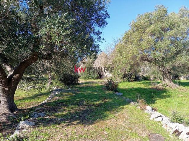 Terreno in vendita a Puglia, Brindisi