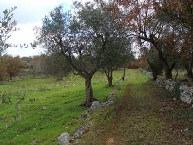 Terreno in vendita a Ceglie Messapica, Brindisi
