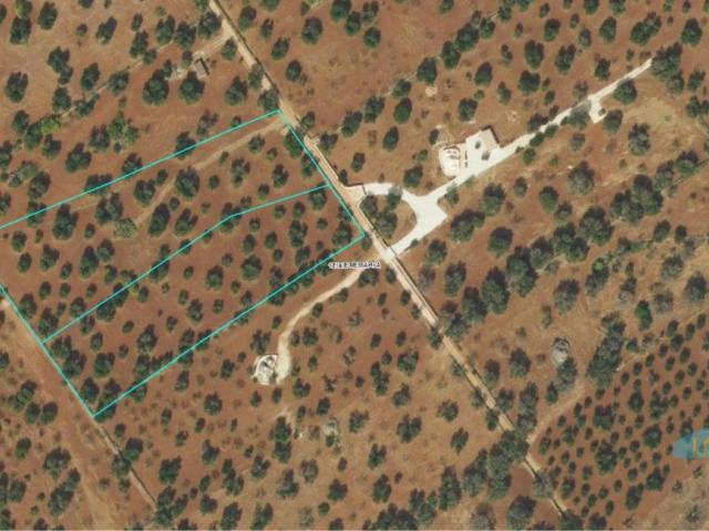 Terreno in vendita a Puglia, Brindisi