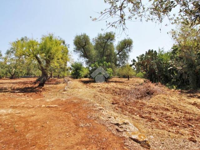 Terreno in vendita a Puglia, Brindisi