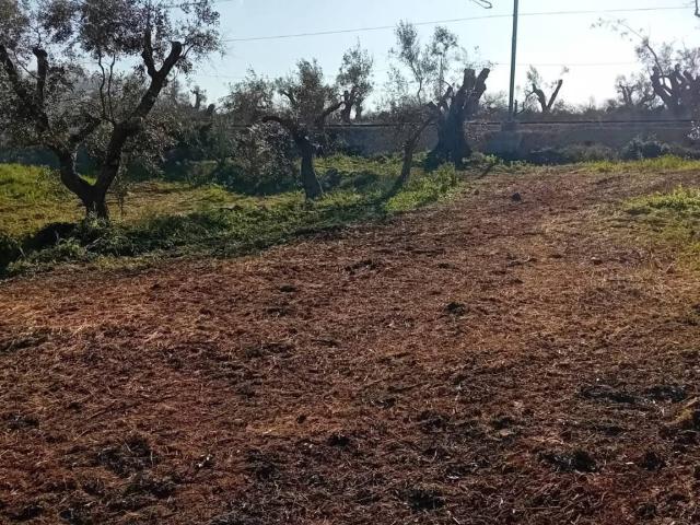 Terreno in vendita a Puglia, Brindisi