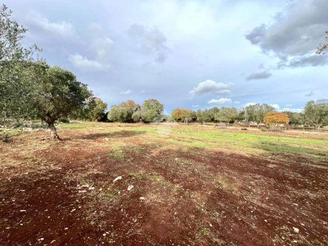 Terreno in vendita a Puglia, Brindisi