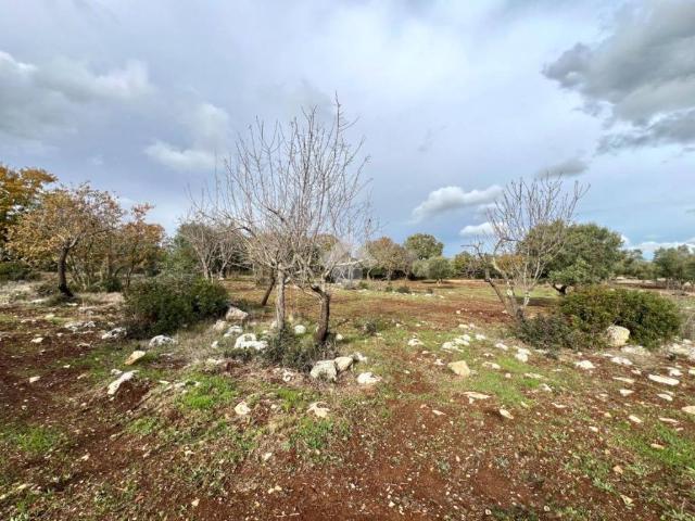 Terreno in vendita a Puglia, Brindisi