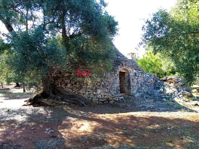 Terreno in vendita a Puglia, Brindisi