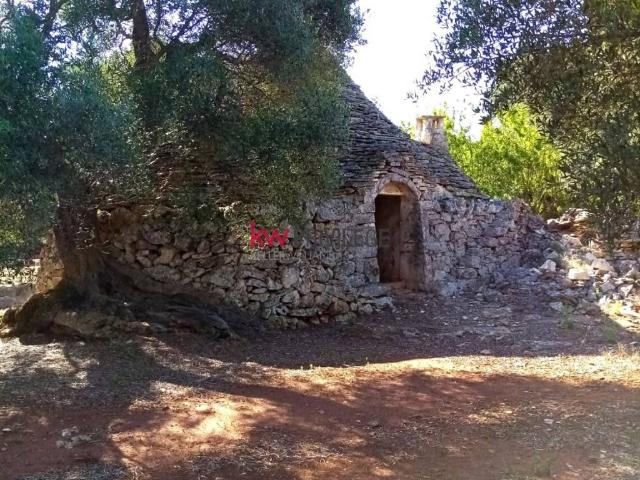 Terreno in vendita a Puglia, Brindisi