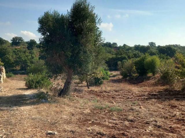 Terreno in vendita a Ceglie Messapica, Borgo Rurale Pascarosa