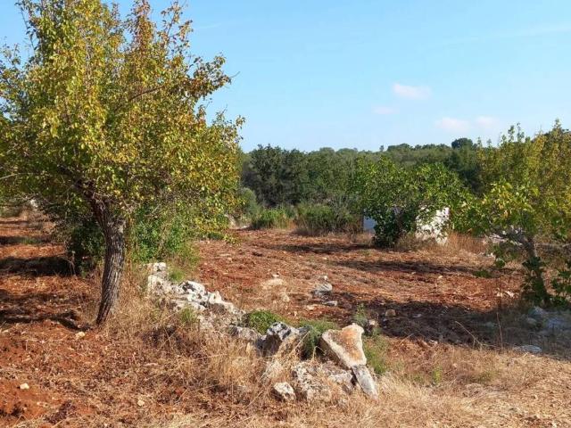 Terreno in vendita a Borgo Rurale Pascarosa, Puglia