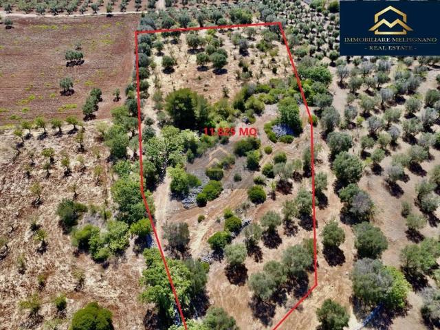 Terreno in vendita a Ostuni, Brindisi