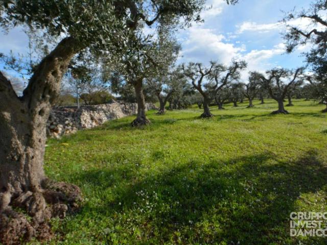 Terreno in vendita a Puglia, Brindisi