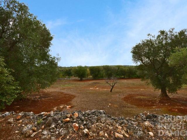 Terreno in vendita a Ceglie Messapica, Brindisi