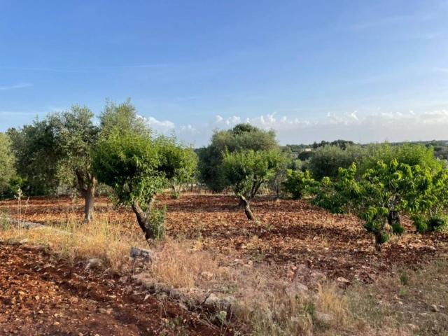Terreno in vendita a Ceglie Messapica