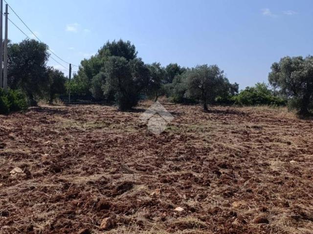 Terreno in vendita a Puglia, Brindisi