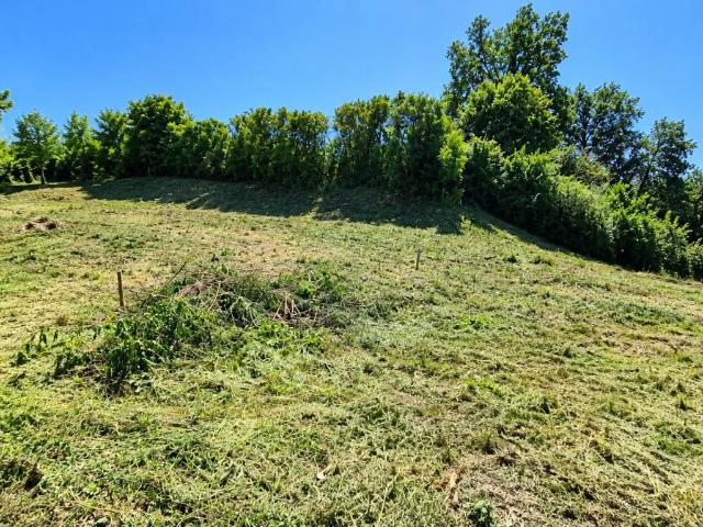 Terreno in vendita a Cellarengo, Asti