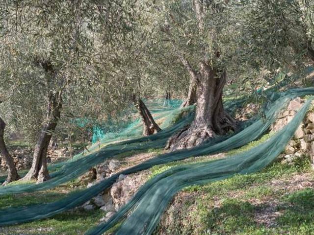 Terreno in vendita a Ravezza, Celle Ligure