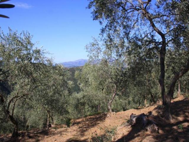 Terreno in vendita a Celle Ligure, Liguria