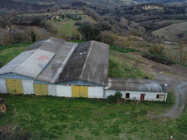 Terreno in vendita a Celleno, Lazio