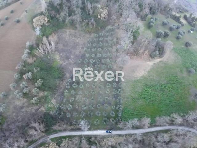 Terreno in vendita a Cellino Attanasio, Abruzzo