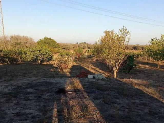 Terreno in vendita a Puglia, Brindisi
