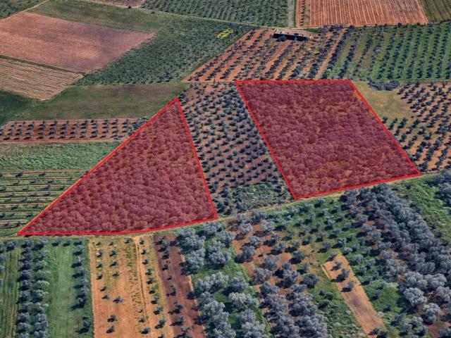 Terreno in vendita a Puglia, Brindisi