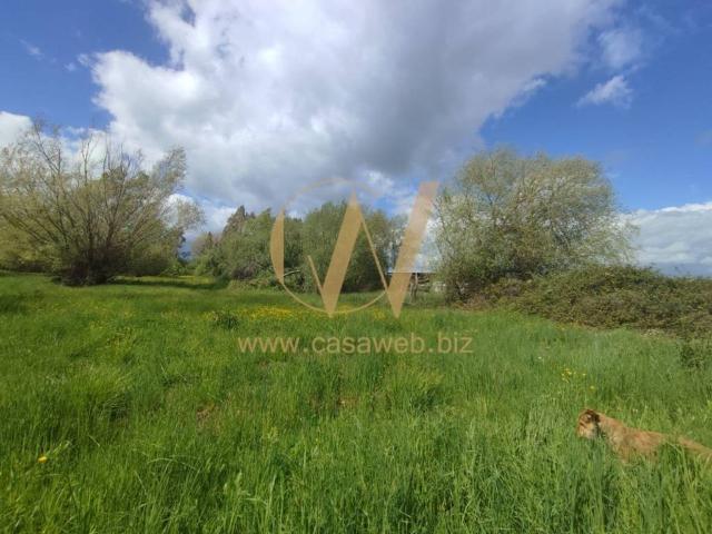 Terreno in vendita a Cellole, Campania
