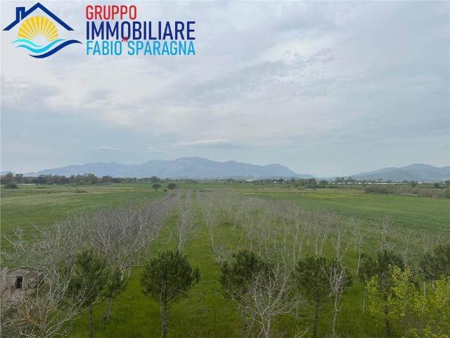 Terreno in vendita a Cellole, Campania