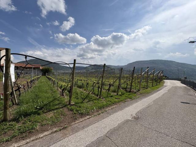 Terreno in vendita a Comunità della Valle di Cembra, Lisignago
