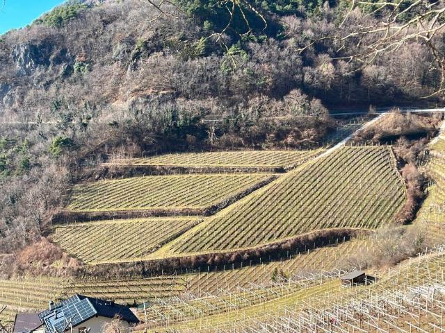 Terreno in vendita a Comunità della Valle di Cembra, Cembra
