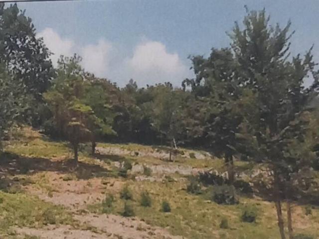 Terreno in vendita a Cenate Sopra, Lombardia