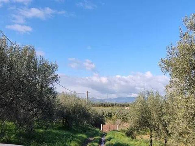 Terreno in vendita a Centuripe, Sicilia