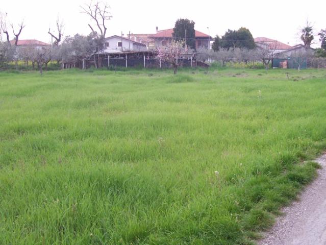 Terreno in vendita a Cepagatti, Abruzzo