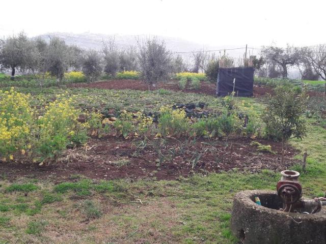 Terreno in vendita a Cepagatti, Abruzzo