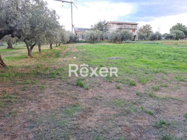 Terreno in vendita a Ripattoni Vecchio, Cepagatti