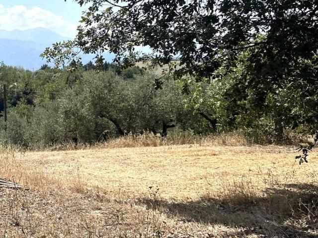 Terreno in vendita a Ripattoni Vecchio, Cepagatti
