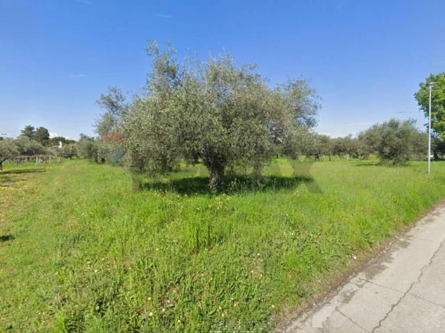 Terreno in vendita a Ripattoni Vecchio, Cepagatti