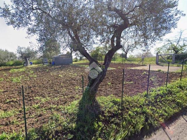 Terreno in vendita a Ripattoni Vecchio, Cepagatti