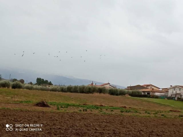 Terreno in vendita a Cepagatti, Abruzzo