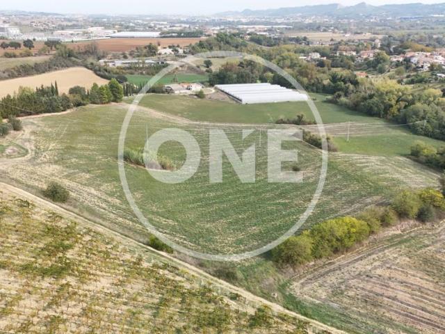 Terreno in vendita a Villanova, Cepagatti
