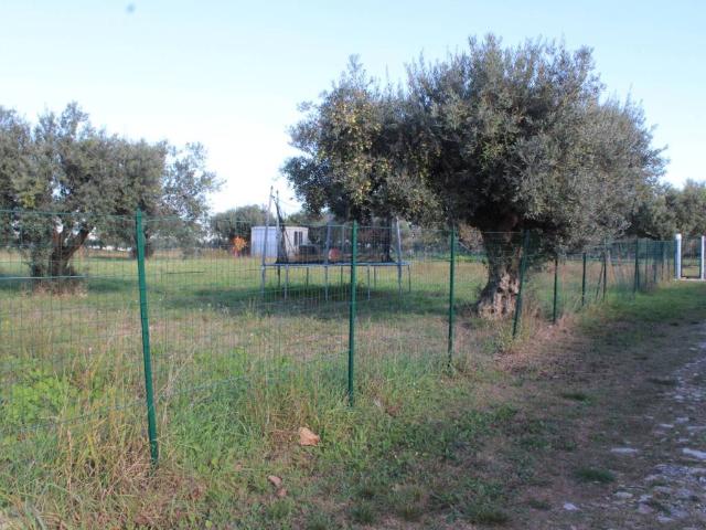 Terreno in vendita a Cepagatti, Abruzzo