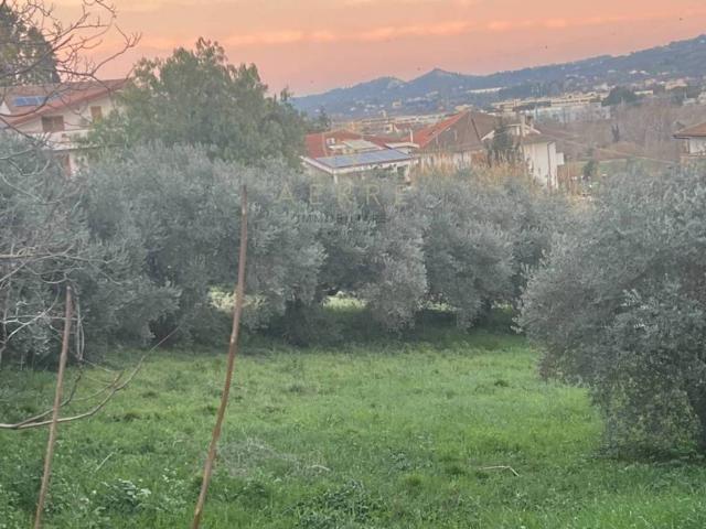 Terreno in vendita a Villanova, Cepagatti