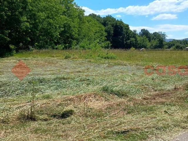 Terreno in vendita a Ceprano, Frosinone