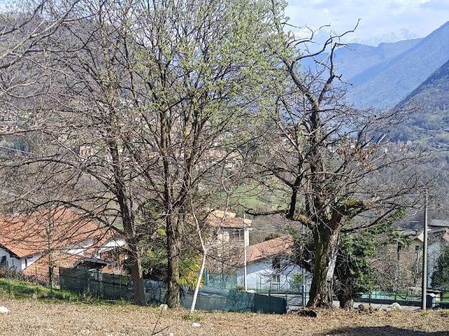 Terreno in vendita a Veglio, Cerano D'intelvi