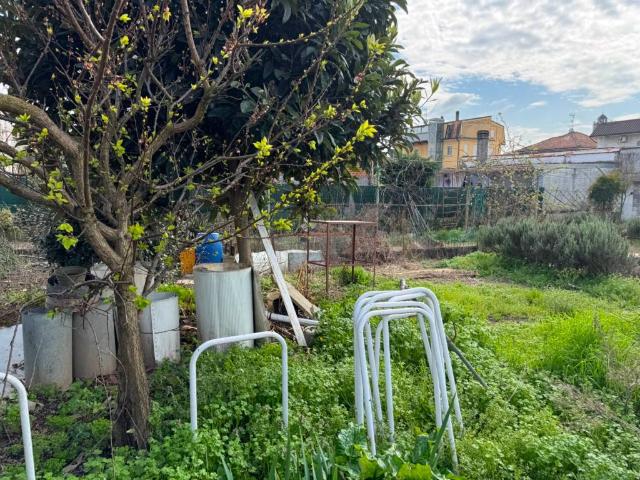 Terreno in vendita a Piemonte, Novara
