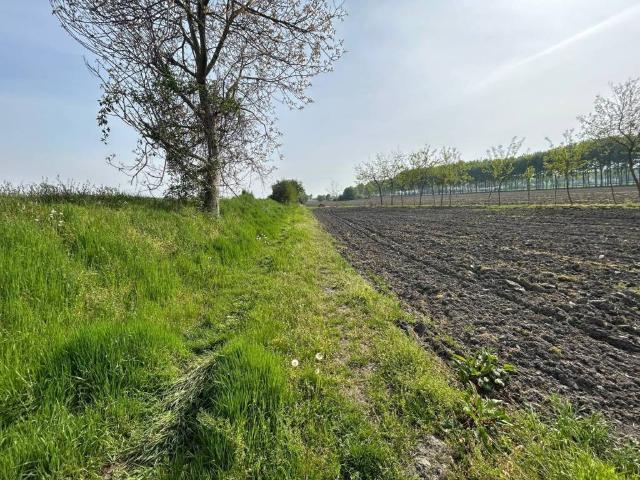 Terreno in vendita a Piemonte, Torino